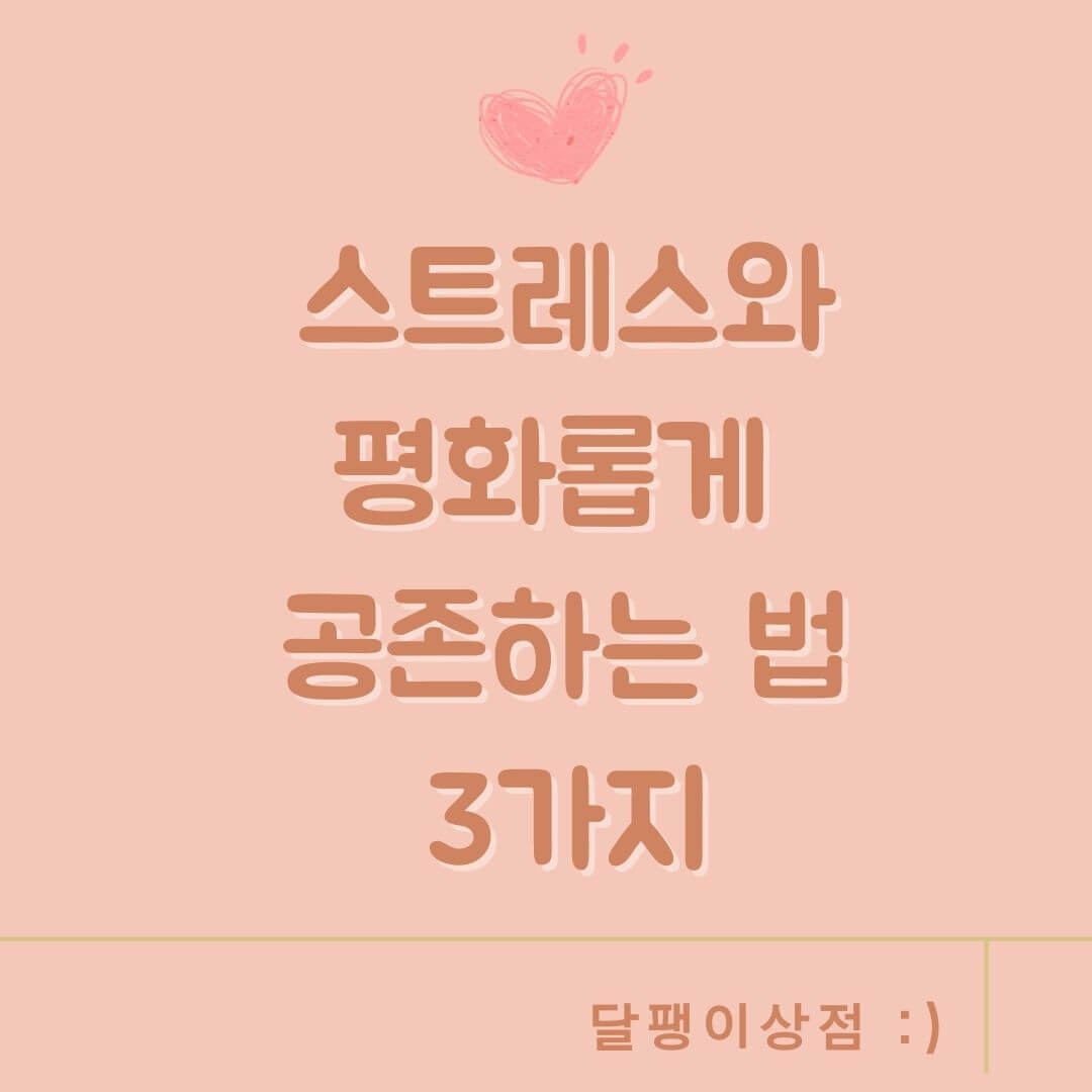 스트레스와 평화롭게 공존하는 법 3가지