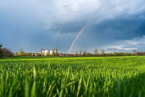 새출발기금 홈페이지 신청 방법