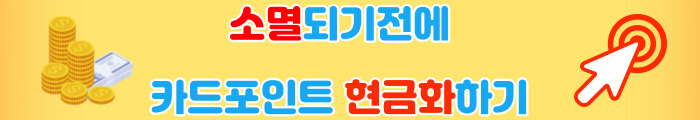 카드포인트 통합조회
