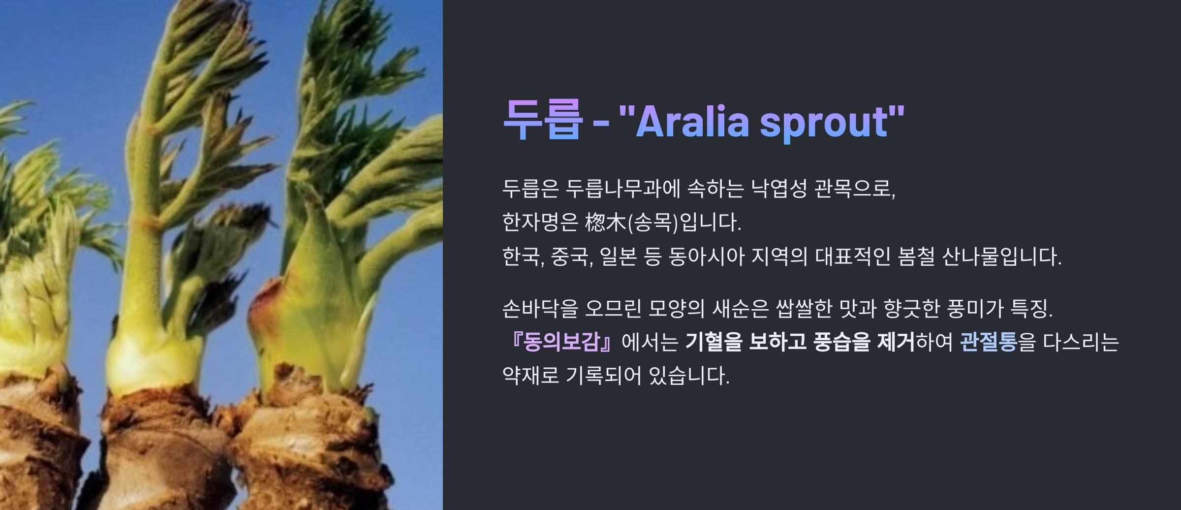 두릅이란?