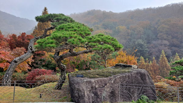 단풍명소_화담숲