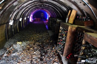 정선에서 만난 느린 하루: 폐광 마을의 새로운 얼굴