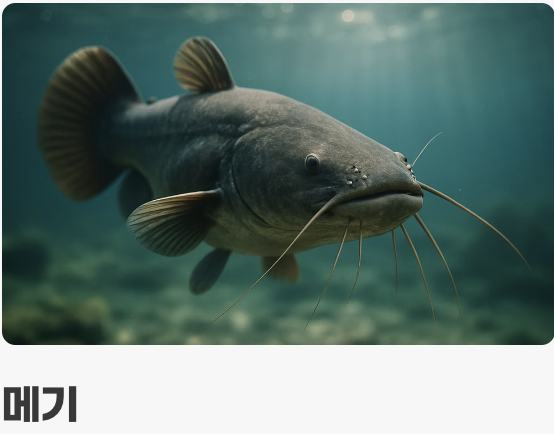 꼬리지느러미 속에 숨겨진 신분증