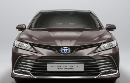 XLE-XSE-전면비교