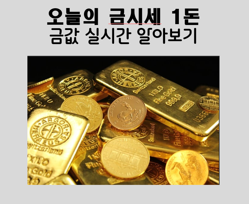 오늘의 금시세 1돈