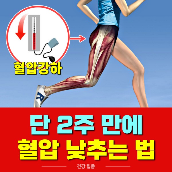 2주만에 혈압 낮추는 법, 고혈압 낮추는 방법, 스케이트 운동법, 팁줌
