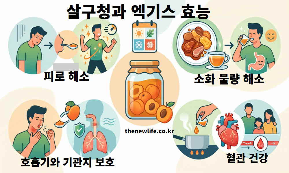 살구청 엑기스 효능