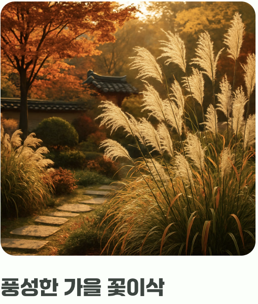 햇살을 향한 변치 않는 사랑