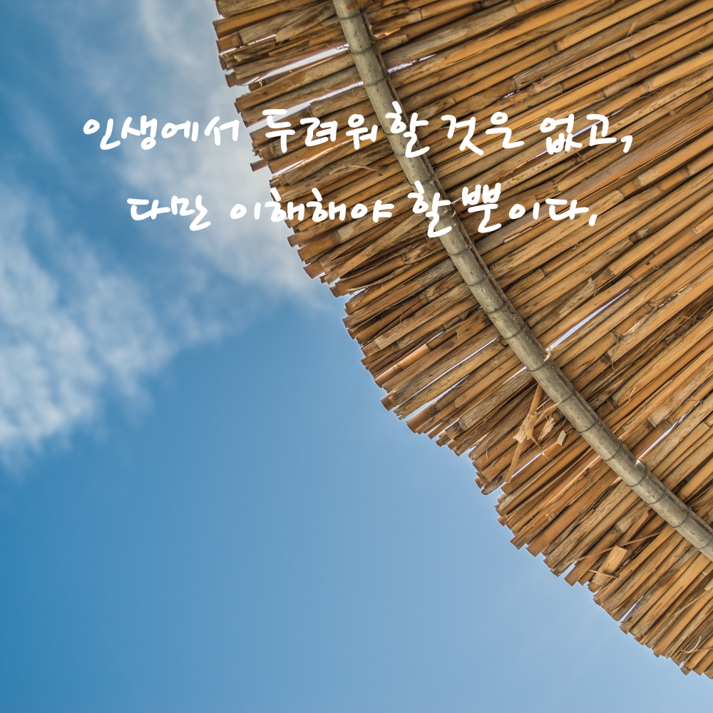 캘리그라피 짧고 좋은 글귀 인생 명언 모음