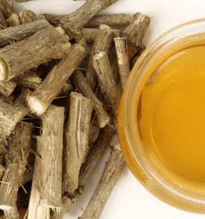 가시오가피 효능, 부작용, 먹는방법 총정리