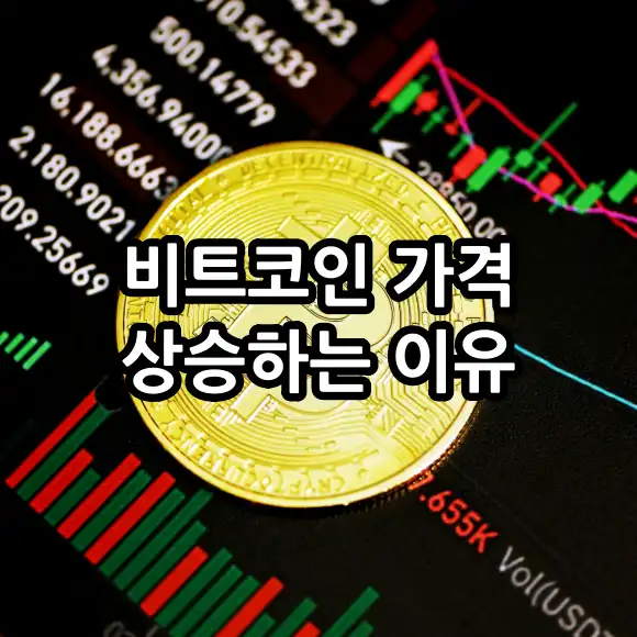 비트코인 가격 상승하는 이유