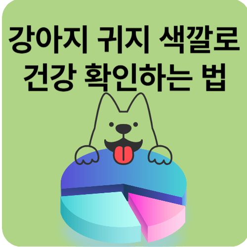 강아지 귀지 색깔로 보는 건강 신호, 그냥 지나치지 마세요!