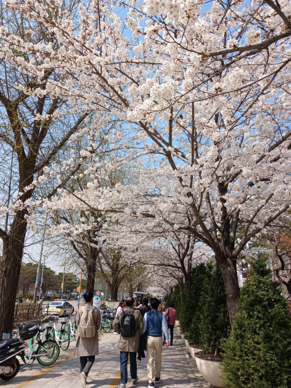 국회의사당 가는길