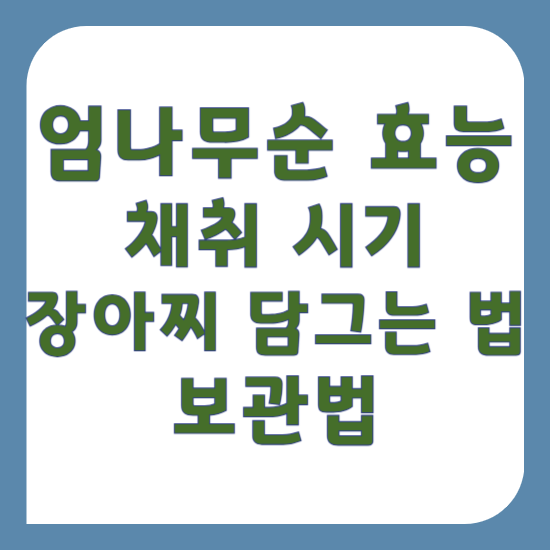 엄나무순의 효능