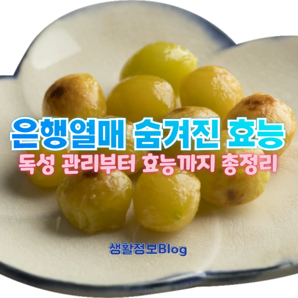 은행열매의 독성과 효능