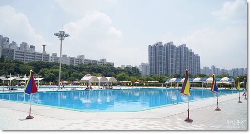 한강공원 수영장 및 물놀이장 할인