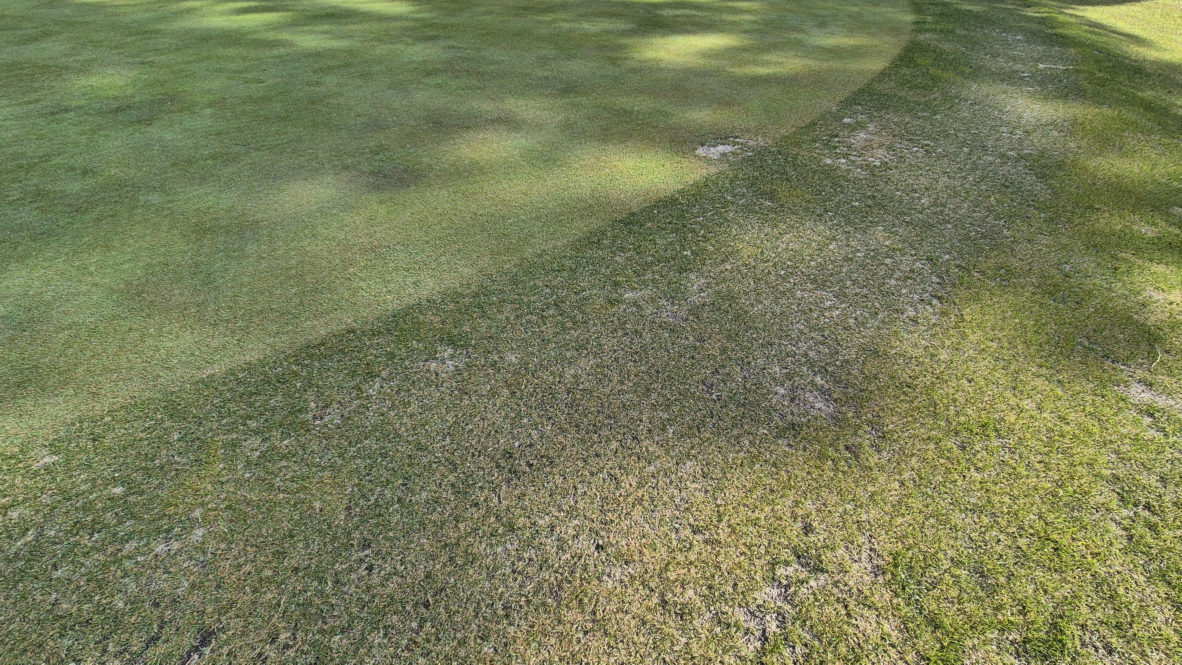 한원cc 라운드후기