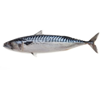 혈액순환에 좋은 음식