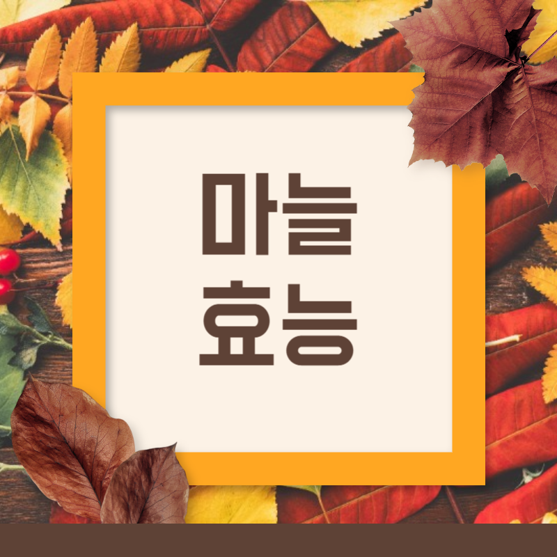 마늘 효능
