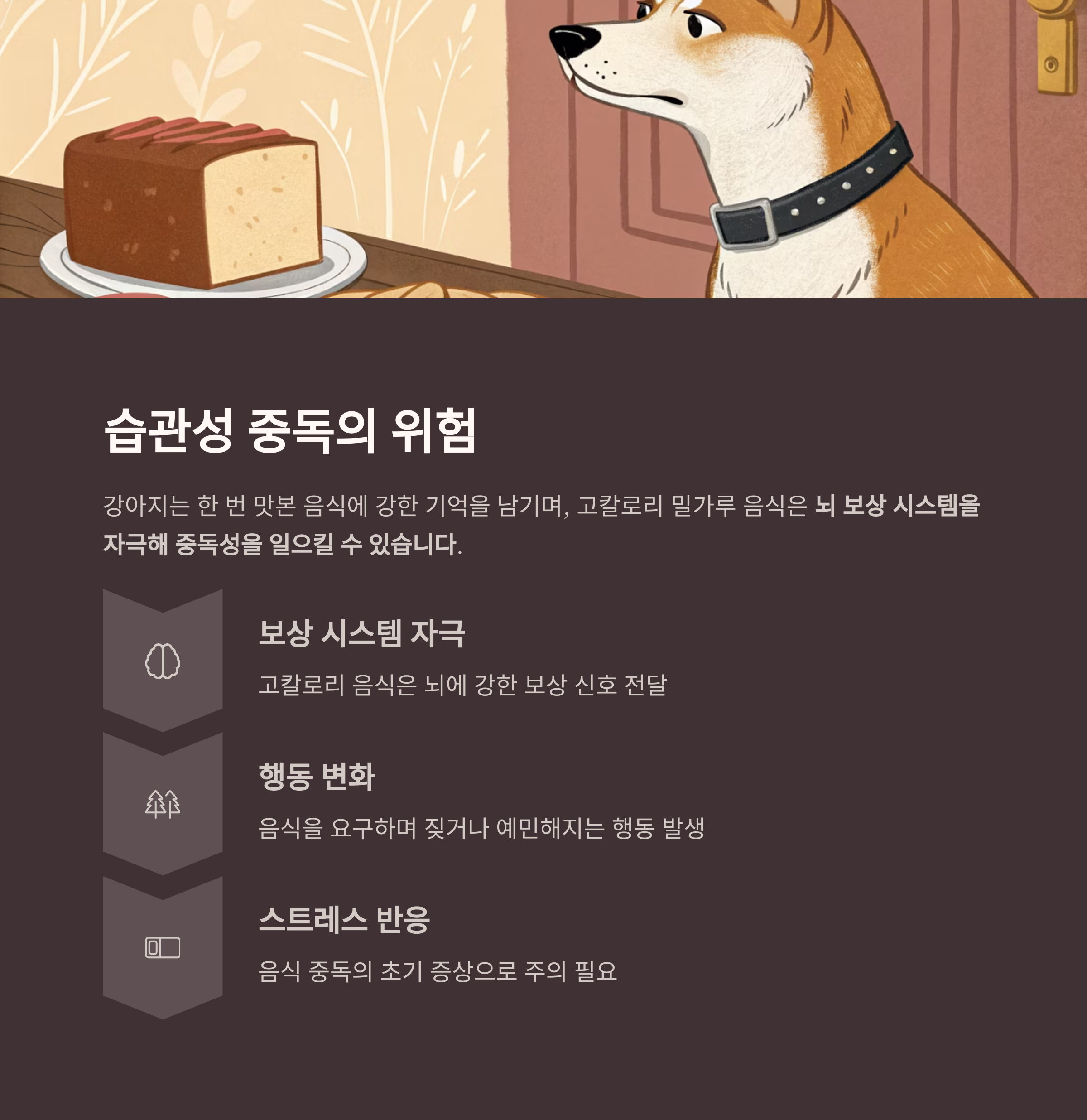 습관성 중독의 위험