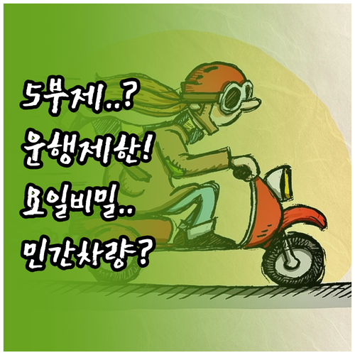 민간 차량 5부제 확대 내용과 운행 ..