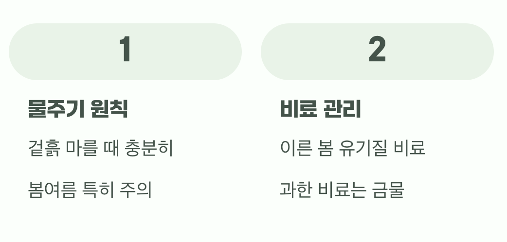 물과 양분, 과하지 않게 꾸준하게