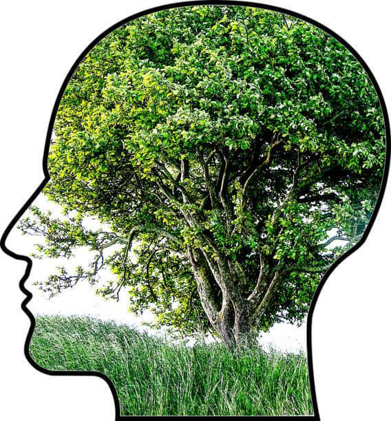 심리학으로 보는 뇌를 깨우는 아침 루틴 구성법