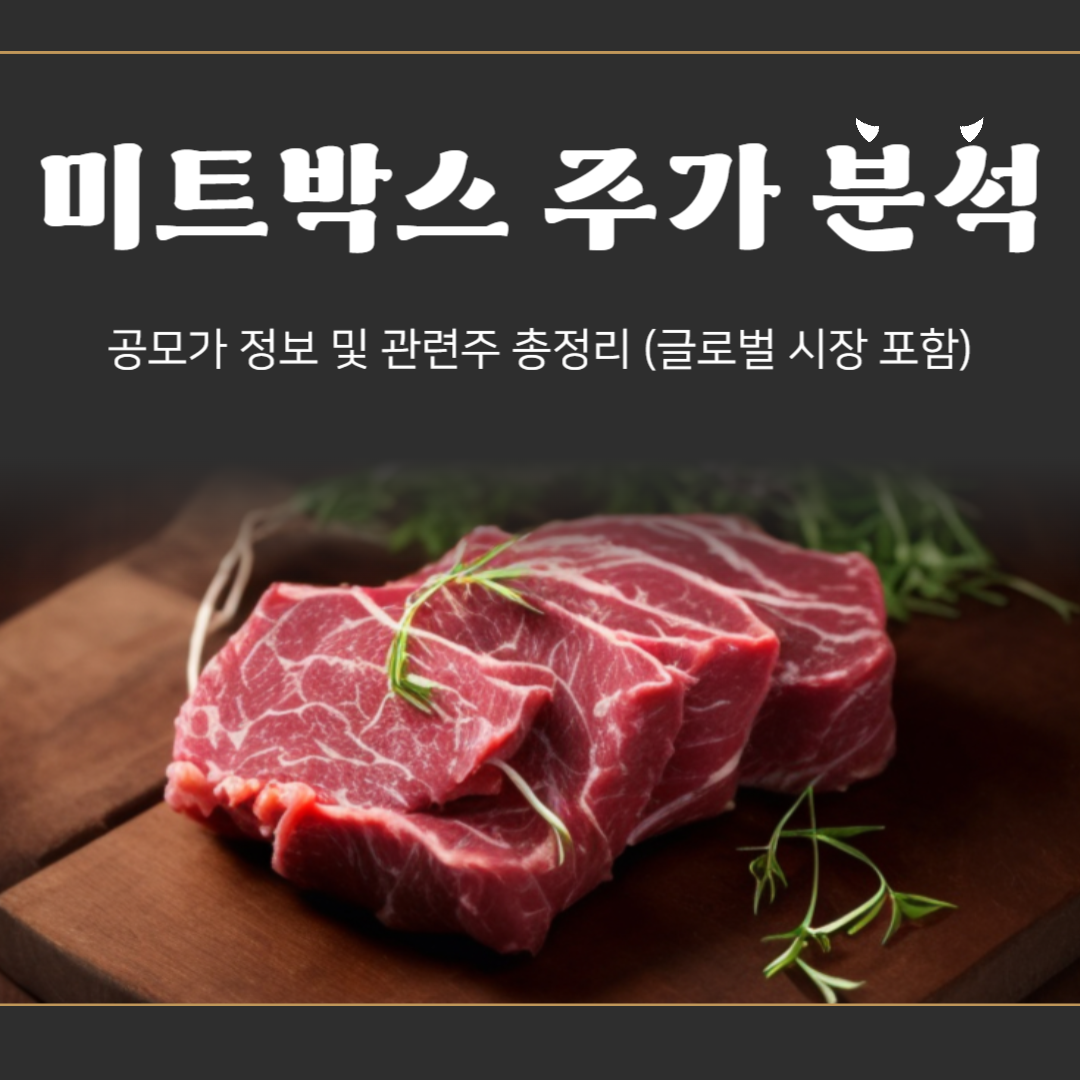 미트박스 주가 분석 ❘ 공모가 정보 및 관련주 총정리 (글로벌 시장 포함)