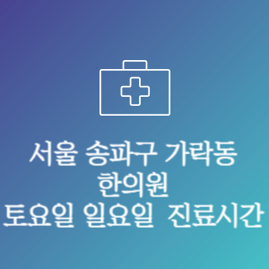 서울 송파구 가락동 한의원 주말 토요일 일요일 문여는 병원 진료시간