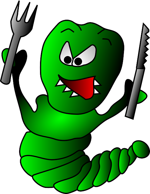 구더기 꿈해몽 애벌레 꿈해몽 송충이 꿈