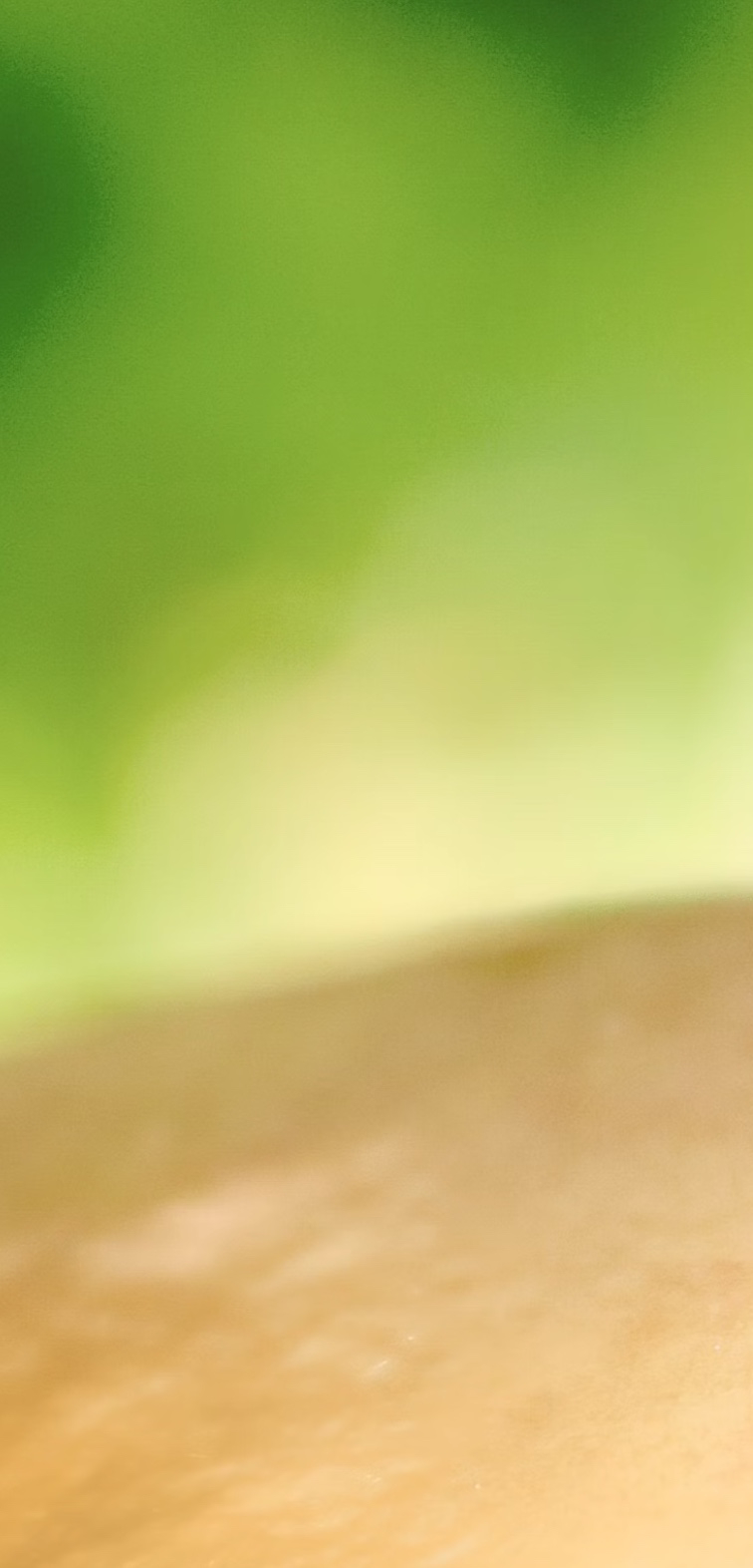 모기 잘물리는 혈액형