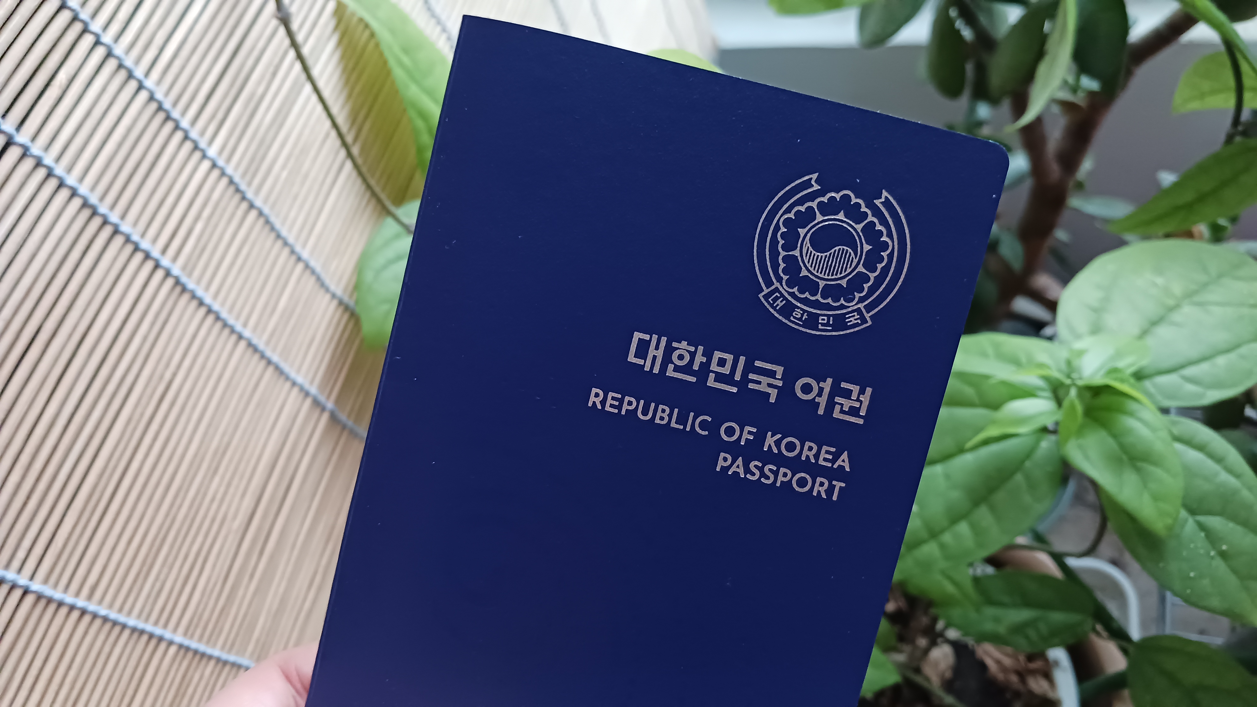 여권 재발급 온라인