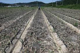 손해평가사 시험과목, 시험일정, 합격률, 전망