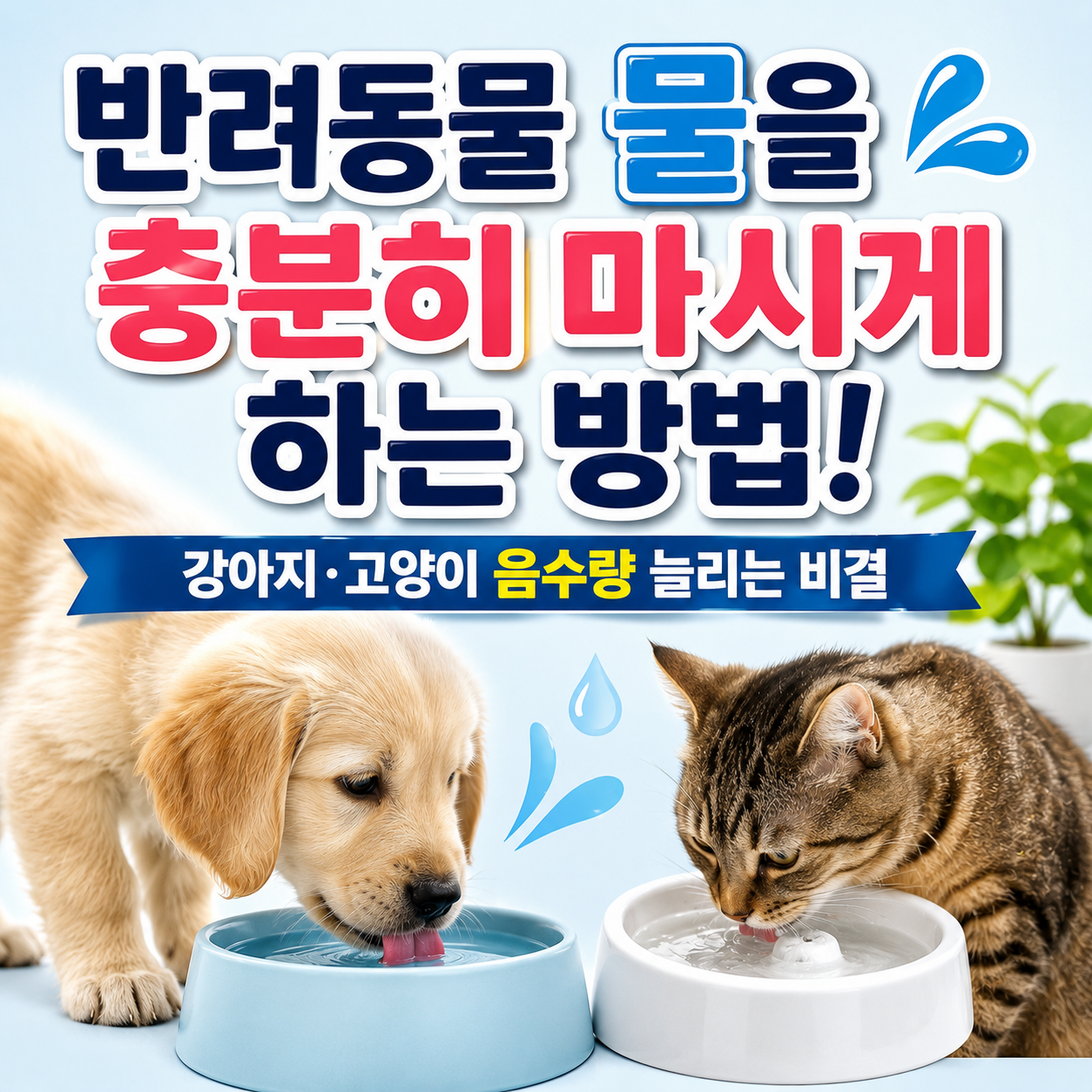 반려동물 물을 충분히 마시게 하는 방법
