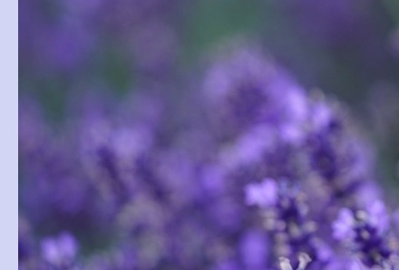 6월 국내 여행지 추천