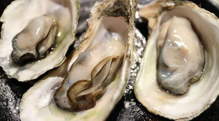 아연_풍부한음식