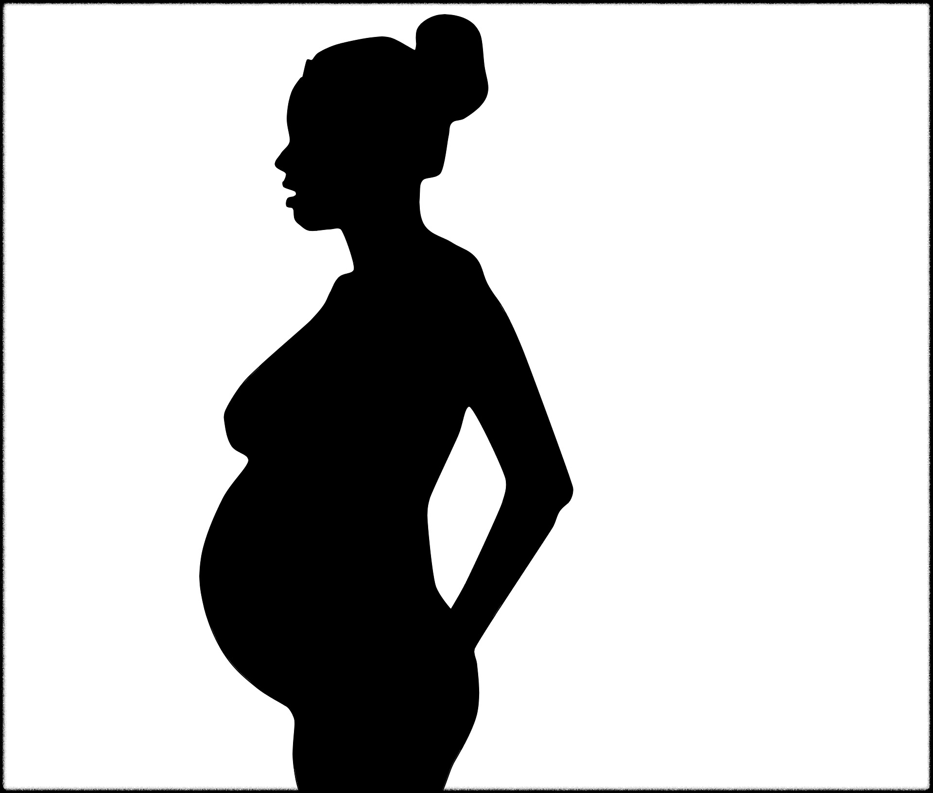 밀크씨슬 이미지19