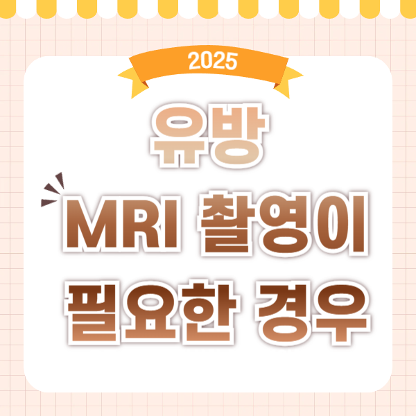 유방 MRI 촬영이 필요한 경우: 시기, 비용, 결과 해석 완벽 가이드 [2025년판]