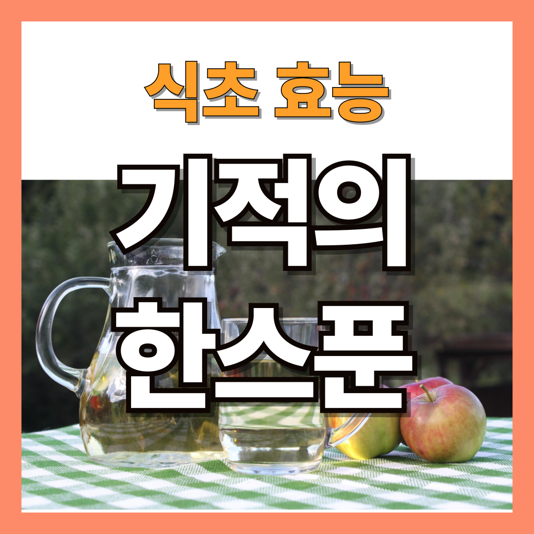 식초효능