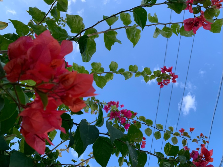 설연휴 오키나와 날씨 정보