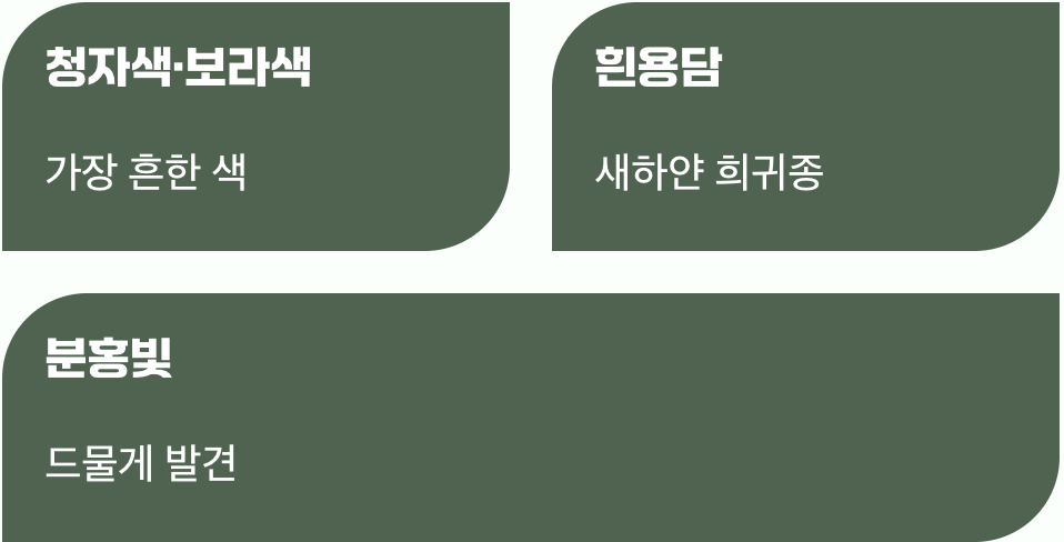 보랏빛만이 아니에요