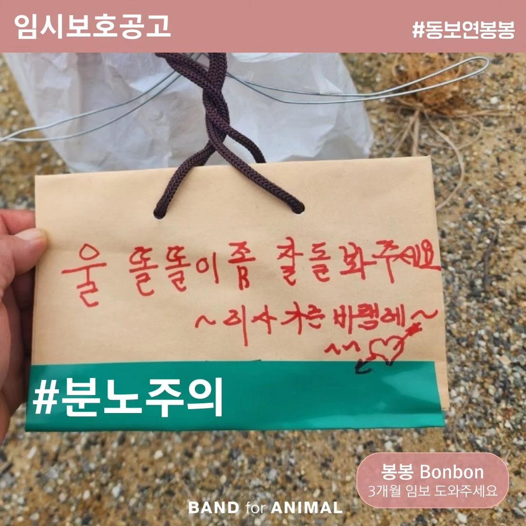 임시보호공고
