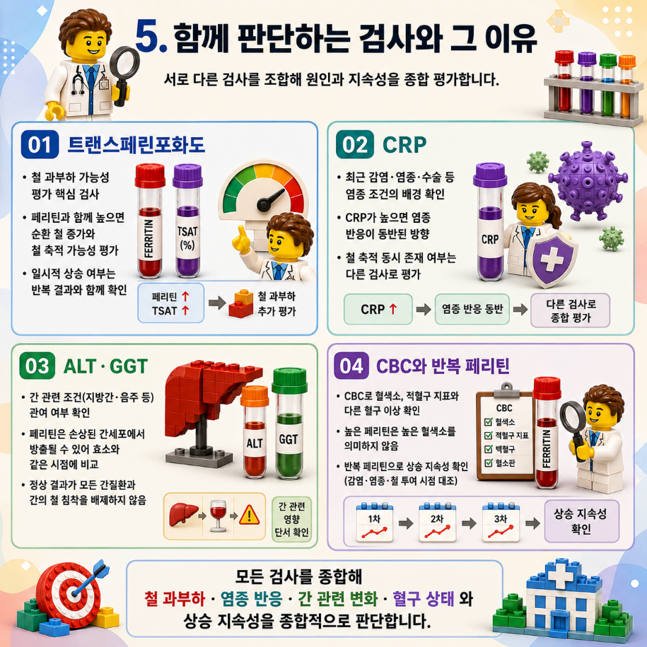 높은 페리틴에서 함께 판단하는 트랜스페린포화도, CRP, ALT·GGT, CBC와 반복 페리틴의 역할을 설명한 레고 스타일 메디컬 인포그래픽