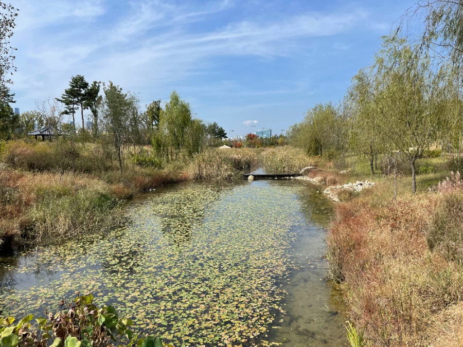 국립 세종수목원 한국전통정원 여행