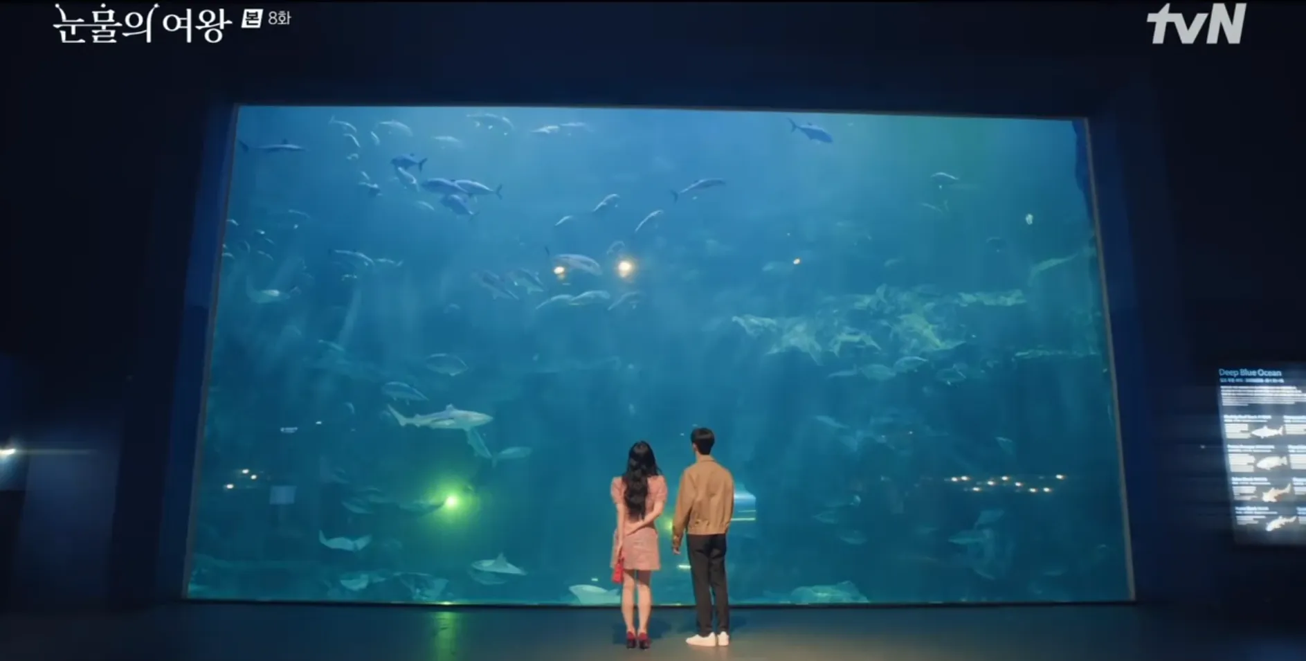 눈물의 여왕 8화 수족관 일산 아쿠아플라넷