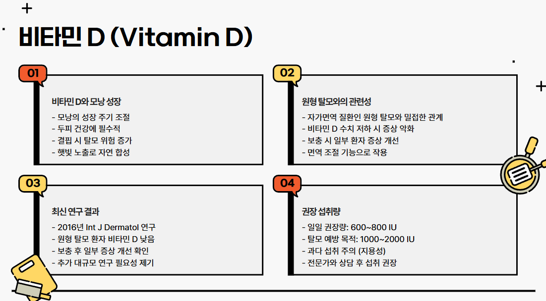 비타민 D (Vitamin D)