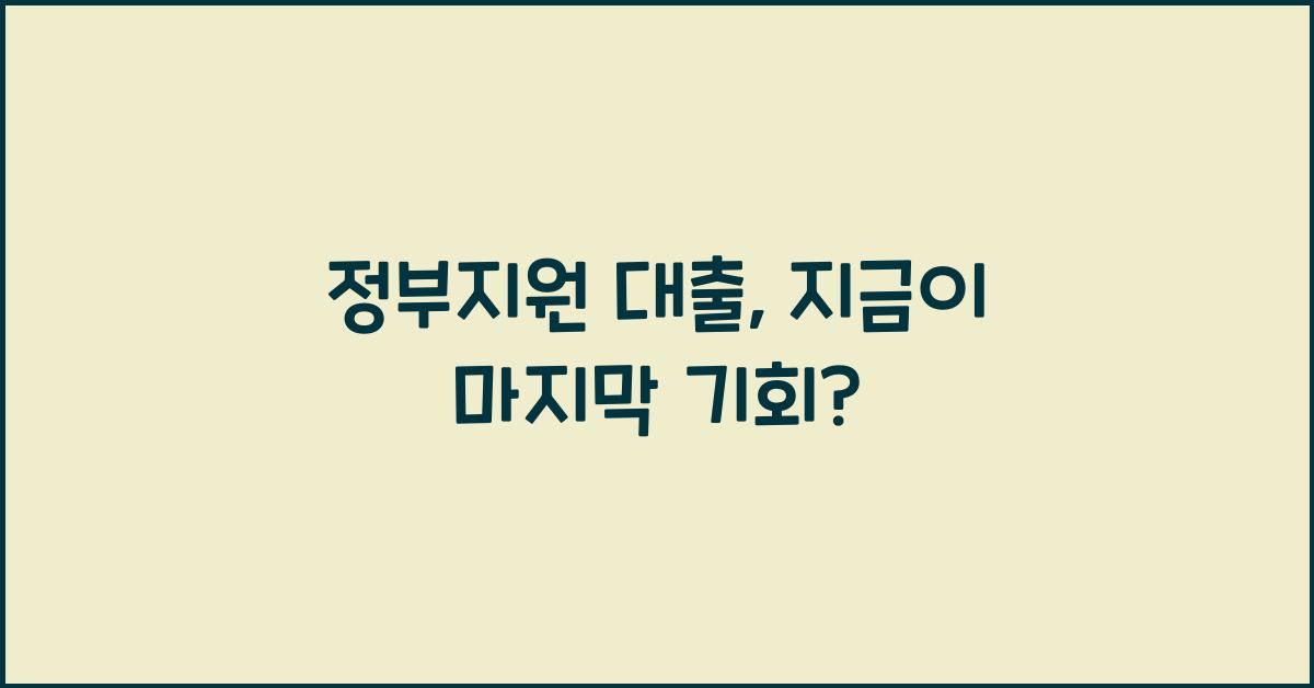정부지원 대출