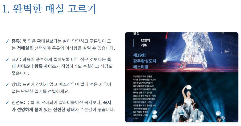 매실 장아찌 아삭하게담는법