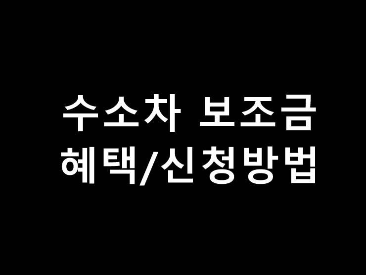 수소차보조금