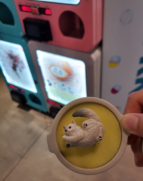 가챠샵 냄비에 들은 고양이 반지